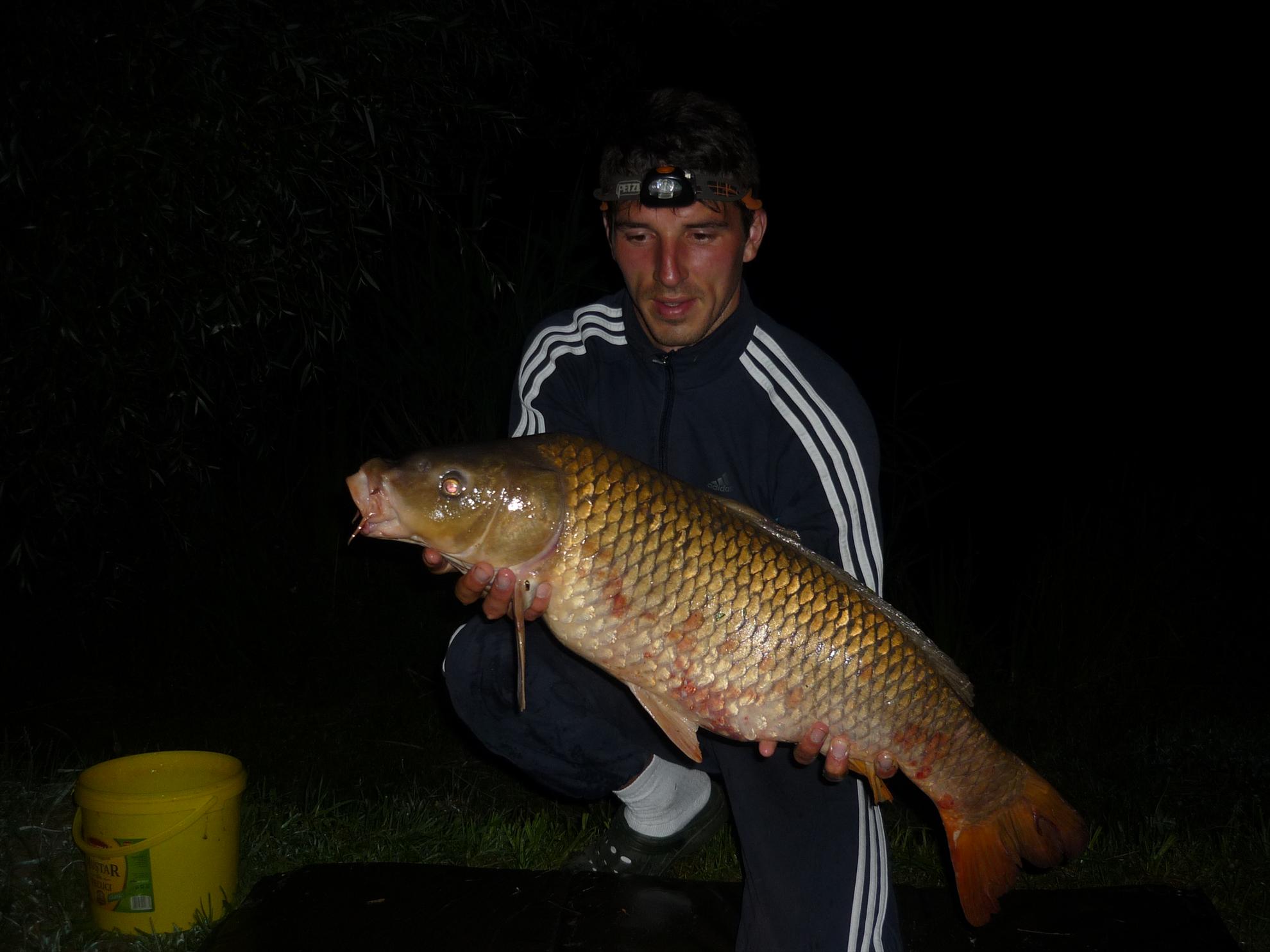 turulung - p10505651.JPG